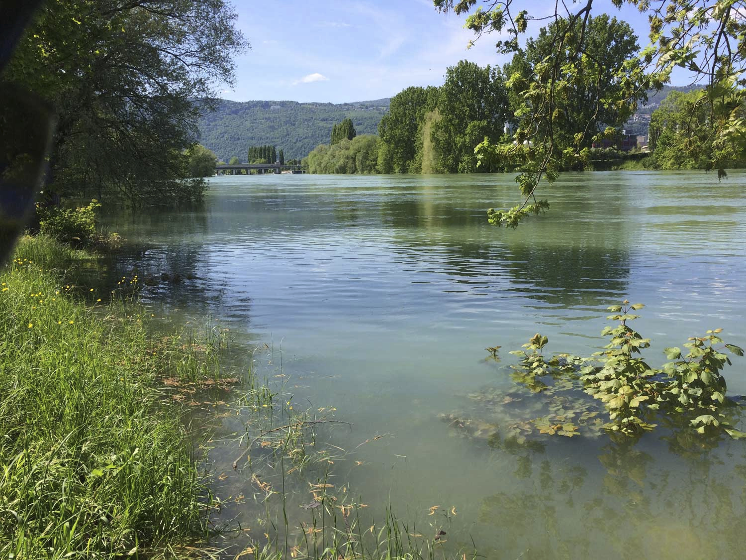 Überschwemmung Flut Hochwasser; Wasser Gewässer; Fluss Bach; Aare; Port; 2015-05-11-Hochwasser-Port2.jpg
